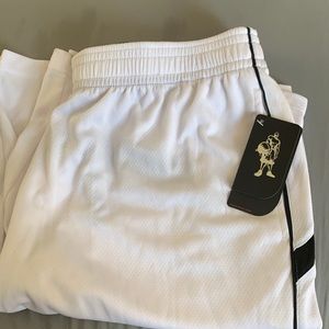 Ans 1 shorts